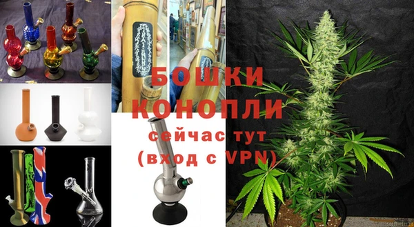 круглые Осинники