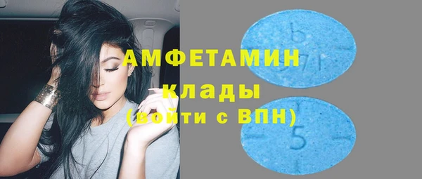 СК Алексин