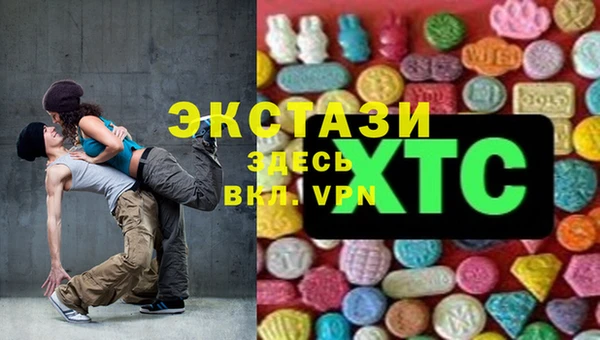 СК Алексин