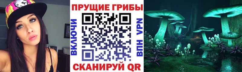 Псилоцибиновые грибы ЛСД  Миньяр 